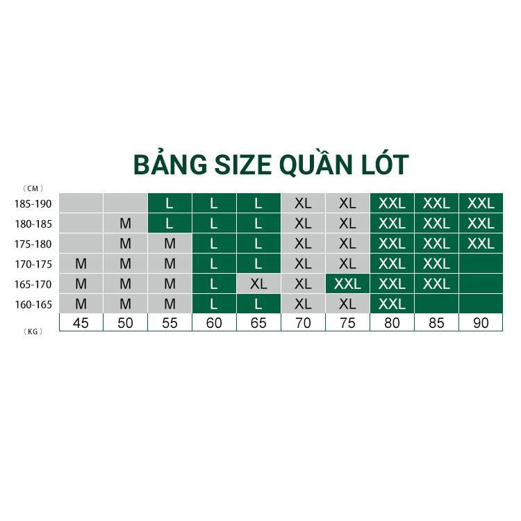 Quần Lót Nam Jockstrap Lưới 2BROS Mesh sợi lưới thông hơi gợi cảm, quần sịp nam sexy 6