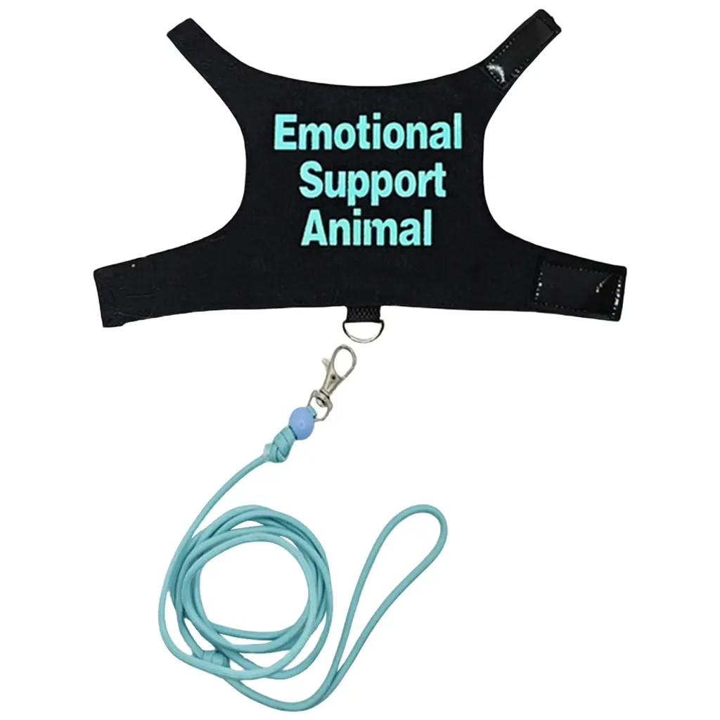 Yica  Multicolor  Regulable Harnesses Suit Bearded Dragon Leashes Escape Proof for Bearded Dragon Outdoor Exploration