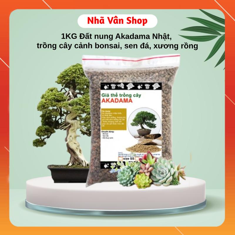 (1KG AKADAMA KUMO) Đất nung Nhật, đất trồng cây cảnh bonsai, trồng sen đá, xương rồng, đất nền thủy sinh, đất trồng hoa hồng, đất nền, hạt đất nung đất  để  trồng  sen  đá