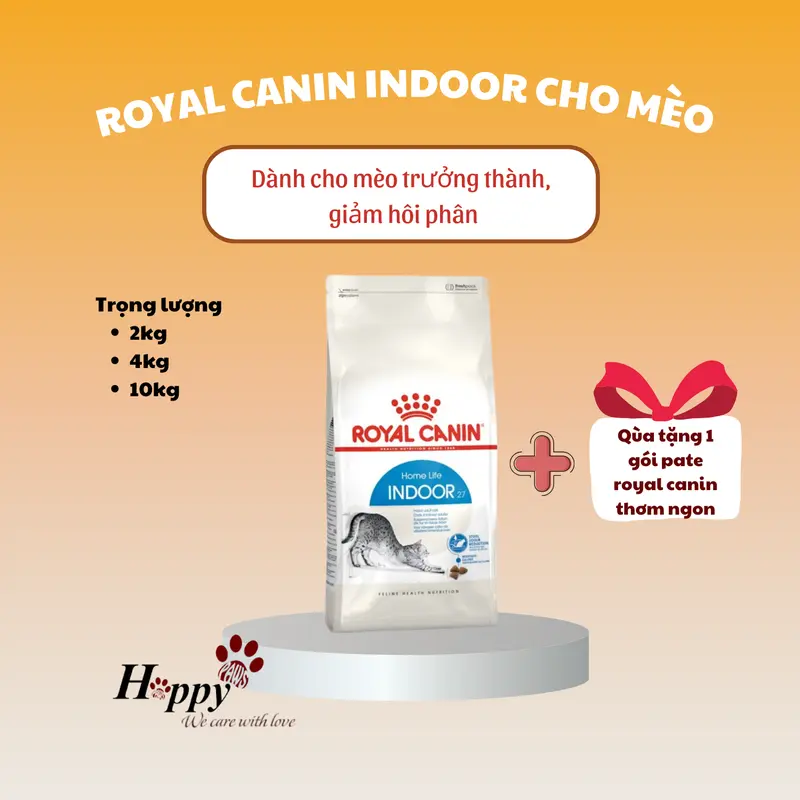 ( 2kg/4kg/10kg ) ROYAL CANIN INDOOR thức ăn hạt khô cho mèo trưởng thành ( trên 12 tháng tuổi ) hàng chính hãng nhập khẩu Pháp tặng kèm 1 gói pate royal canin 0