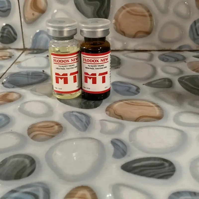 FLODOXY MT: HÔ HẤP VÀ ĐƯỜNG RUỘT 1