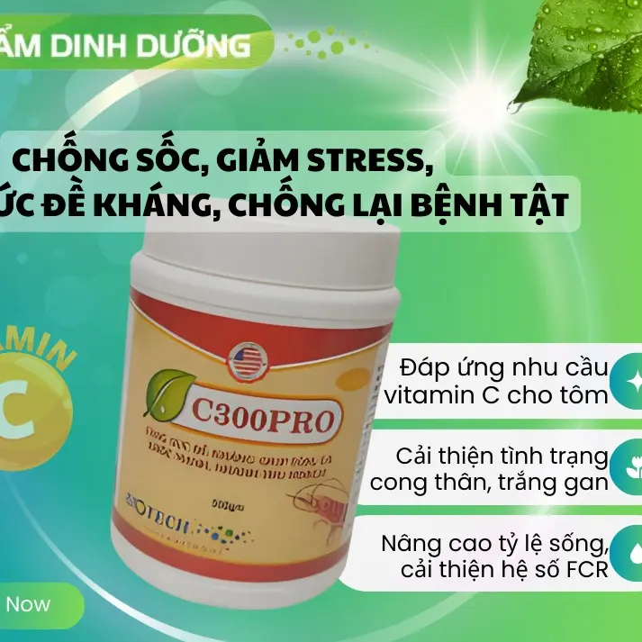 C300PRO PLUS - CUNG CẤP VITAMIN C, CHỐNG SỐC, GIẢM STRESS, TĂNG SỨC ĐỀ KHÁNG CHO TÔM CÁ