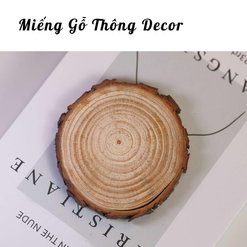 Miếng gỗ Thông Decor - Gỗ Thông Lót ly nến, Ly Hoa Khô - Decor Không Gian