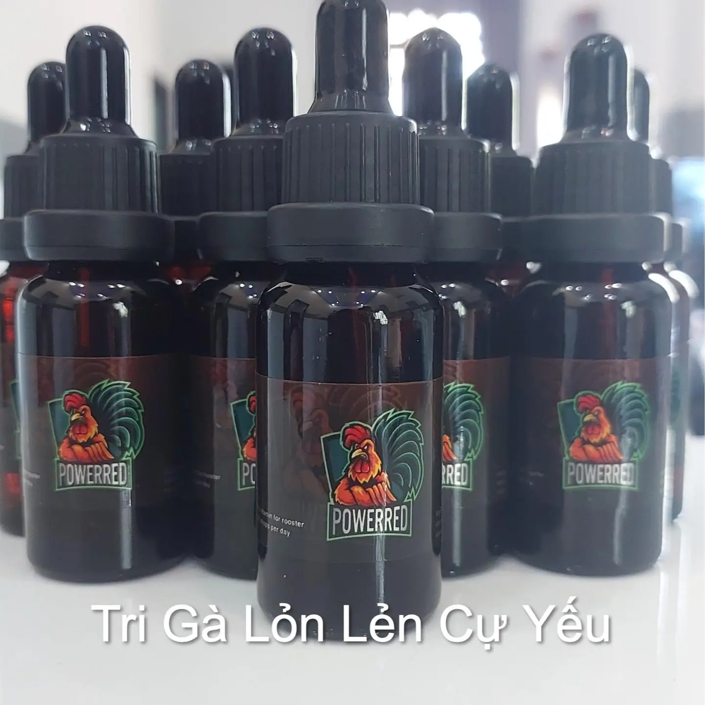 Power Red giúp chiến kê tăng b.o hừng g.à, đặc biệt trị gà l.õ.n l.ẽn