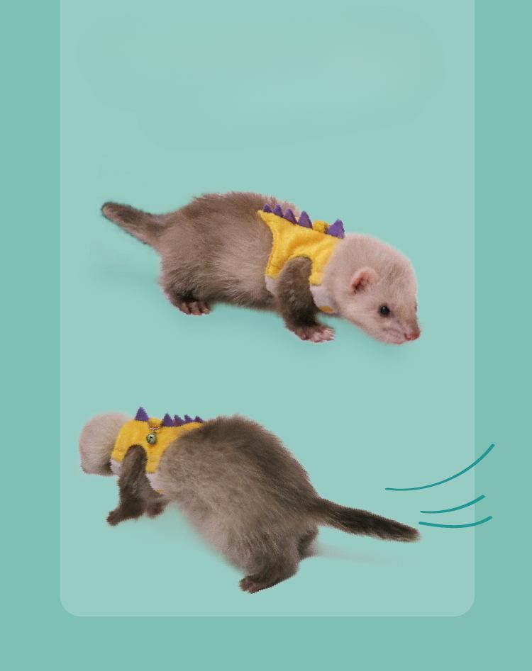 Product Introduction of Pet mink, ferret, dinosaur shaped traction rope, adjustable walking mink rope 3