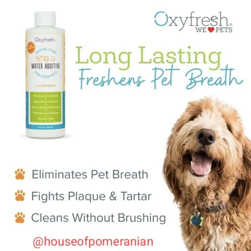 Oxyfresh water additive 100ml 4
