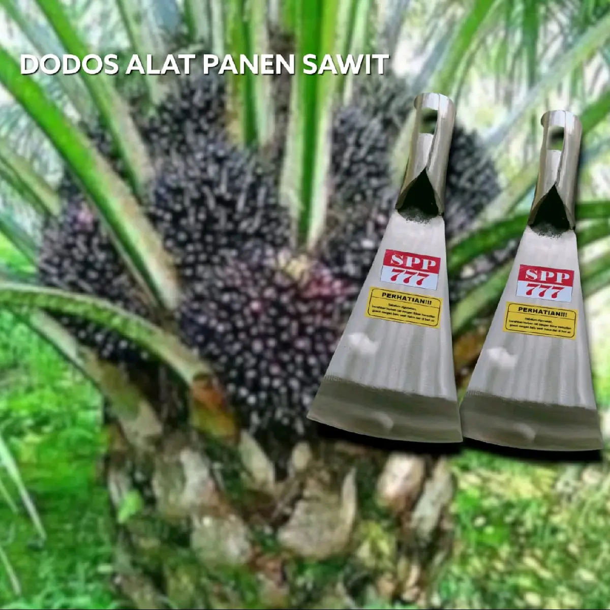 Dodos Alat Panen Sawit Spp 777 Malaysia Putih Baja