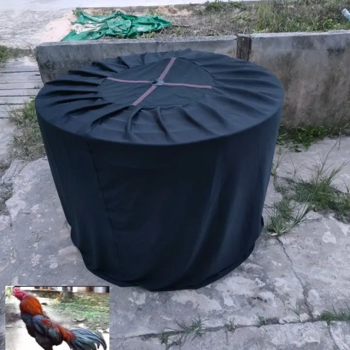 kerodong kelambu ayam jago UK jumbo bahan tebal