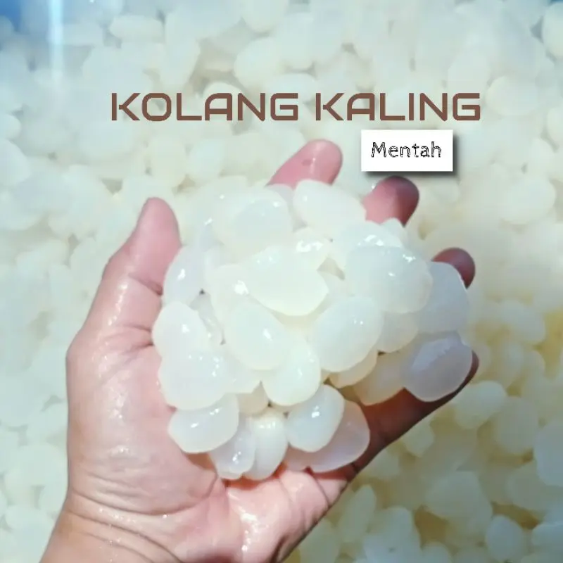 Kolang Kaling 1kg Kolang Kaling Organik Manisan Kolang Kaling - Shop ...