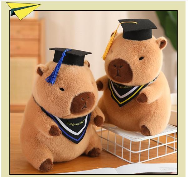 Gấu bông,thú bông capy bara,chuột lang nhiều mẫu,capy bara tốt nghiệp, quà tặng tốt nghiệp,gấu cử nhân