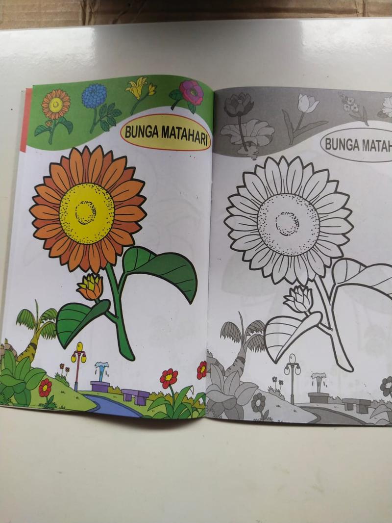 Product Introduction of Buku Mewarnai TK Budiono Gambar Bunga Edisi Reguler 3