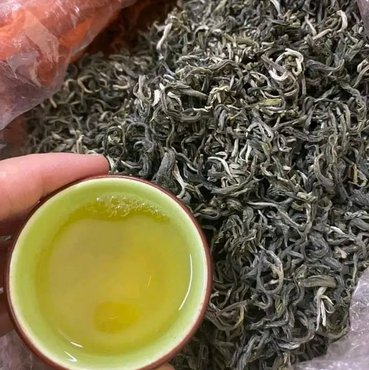 Trà Shan Tuyết cổ thụ Tây Côn Lĩnh Hà Giang 1 tôm 2 lá túi 500gr Nước Trà Tea box Chè 1