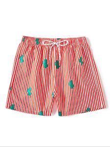 Men's Stripes and Cactus Print Drawstring Waist Sports Shorts, Regular Fit Casual Comfy Breathable Shorts for Summer, Men's Bottoms for Daily Wear