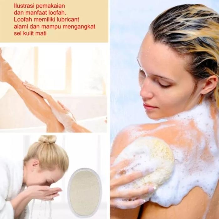Product Introduction of Loofah Sponge Bath // Shower Pad // Gambas Bulustru Oyong Alami Ukuran Bigsize Spons Mandi Sabun Plastik Spon 1