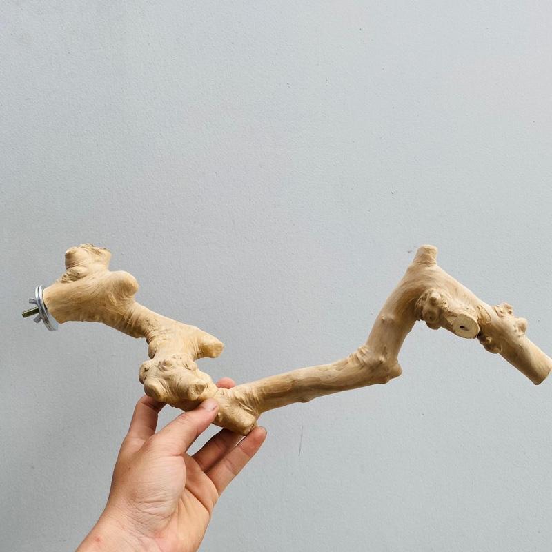 Cầu gắn lồng cho chim vẹt sóc,...