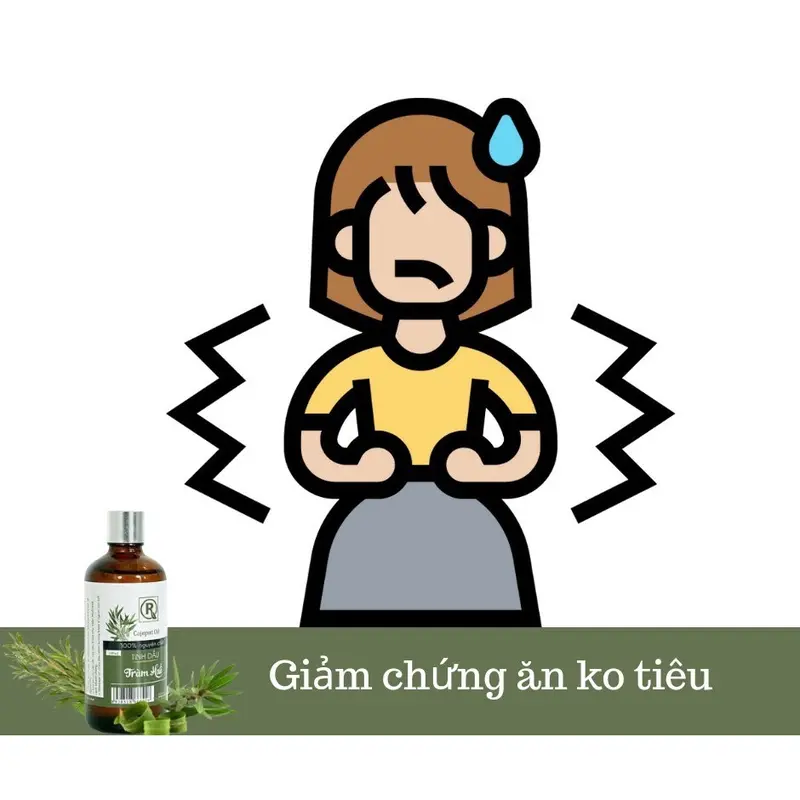 Tinh Dầu Tràm Huế 100ml tặng vỏ dây treo kim tuyến 8ml 5
