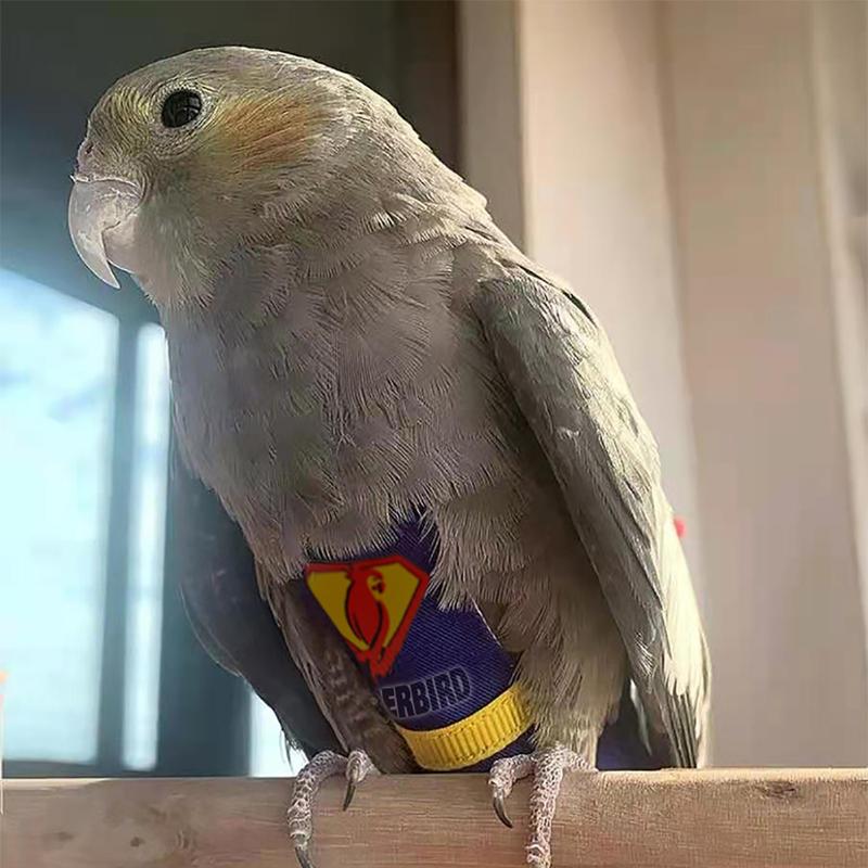 Product Introduction of Super Hero Parrot Diaper Flight Suit Diaper Clothes Parrot Parakeet Pigeon Medium Large Pet Bird #464679 41