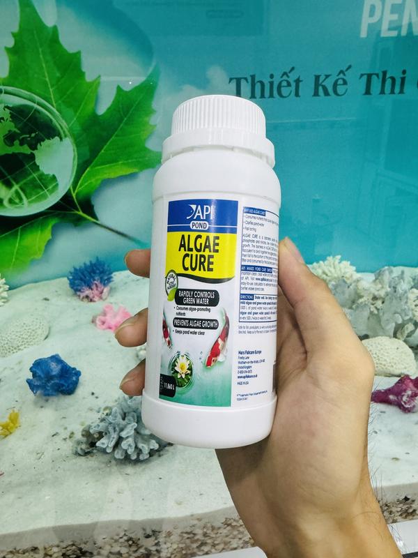  Algae Cure Vi Sinh Xử Lý Tảo Sống và Kết Tụ Mây Trong Nước - Khử NO3 & PO4 - Cho Hồ Cá Cảnh Dùng Cho Cả Nước Ngọt Và Mặn 