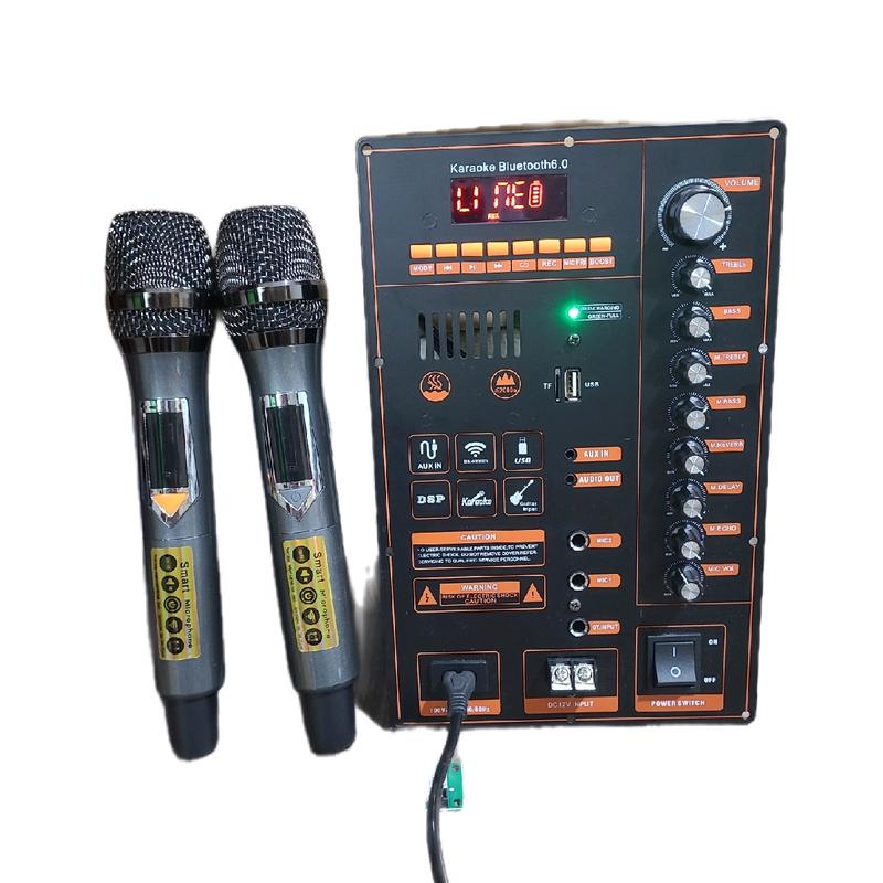 Bộ Mạch Loa Kéo Kèm Theo 2 Tay Micro Không Dây Kích Thước 18×28 mẫi mạch ngẫu nhiên