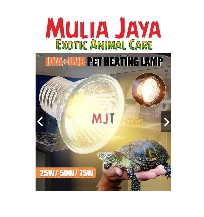 2pc SUN GLO Lampu Reptil Halogen UVA Pemanas Penghangat Kandang BD Iguana Sulcata 15w 25w 50w 75w