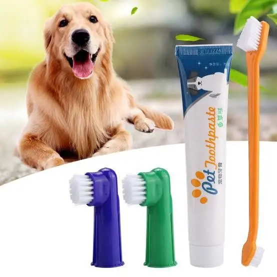 4in1 Set Sikat Gigi dan Odol Anjing Kucing Dog Tooth Brush and Paste Membantu Membersihkan Kotoran dan Plak Gigi Hewan Peliharaan FEFARM 6