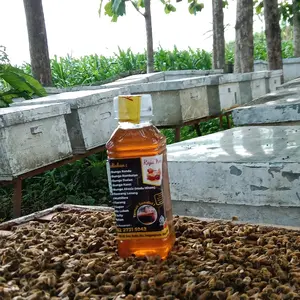 madu murni kemasan 280g MULTIFORA hasil ternak sendiri 100% asli dan murni tanpa campuran (madu mentah)