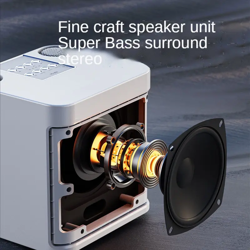Loa Bluetooth, có mic, không dây, mic kép, loa Karaoke, bộ khuếch đại âm thanh nổi 3D, 203 8
