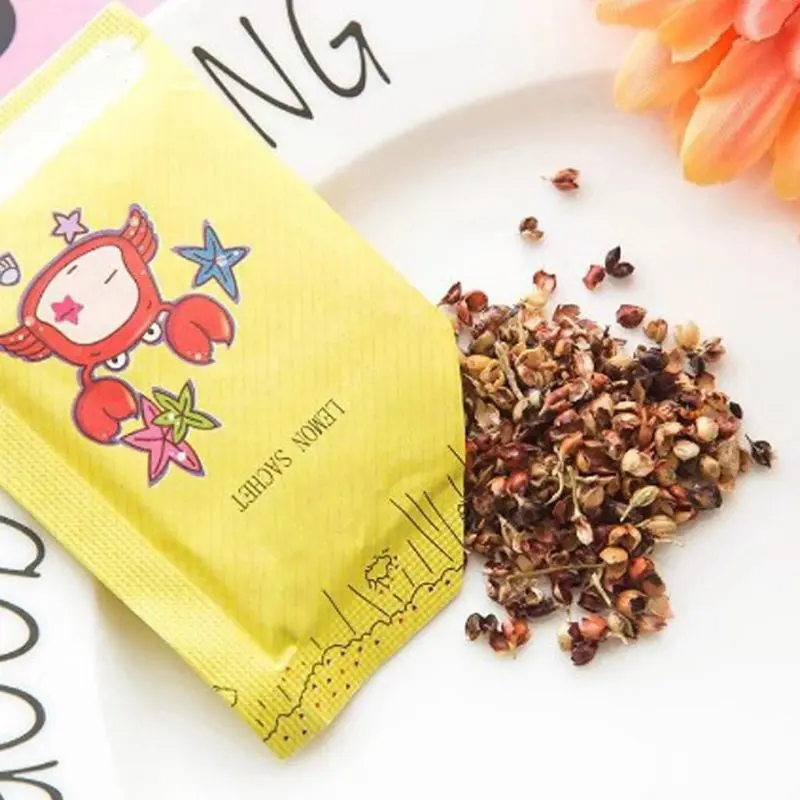 Pengharum Sachet Mini Ruangan Keharumnya Tahan Lama Model Simpel Sachet Pewangi Kalem Parfum 5