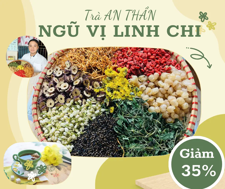 Trà AN THẦN NGŨ VỊ LINH CHI (30 ngày), TRÀ TÁM VỊ thanh lọc cơ thể Tea Chè ngũ trà dưỡng nhan