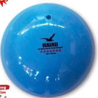Bóng chuyền hơi Hải Âu 250gram Tròn Sport 6