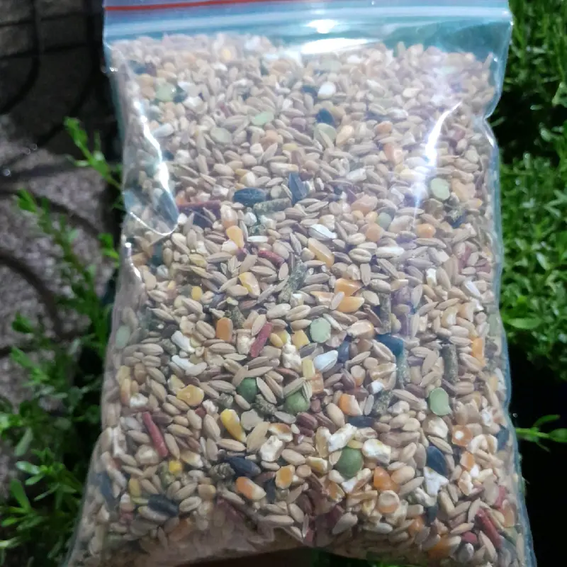 Ngũ cốc dinh dưỡng 1kg dành cho chim cu gáy, bồ câu, gà đá,... 1