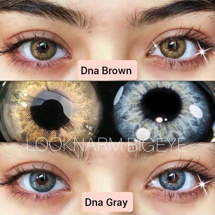 Dna Gray, Brown คอนแทคเลนส์สายฝอ (สายตา -50 ถึง -1000) คอนแทคเลนส์ ใหม่ ดาวิกา