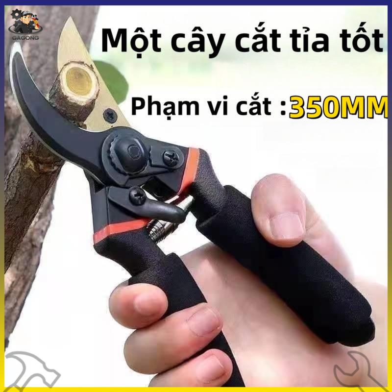 Kéo làm vườn kéo cắt tỉa cành bộ dụng cụ làm vườn thực vật Máy cắt tỉa Thiết kế bỏ qua SK5 Công cụ bằng thép,Kéo cắt cành cao Thép cành khô Cắt sắc bén Tay cầm thoải mái