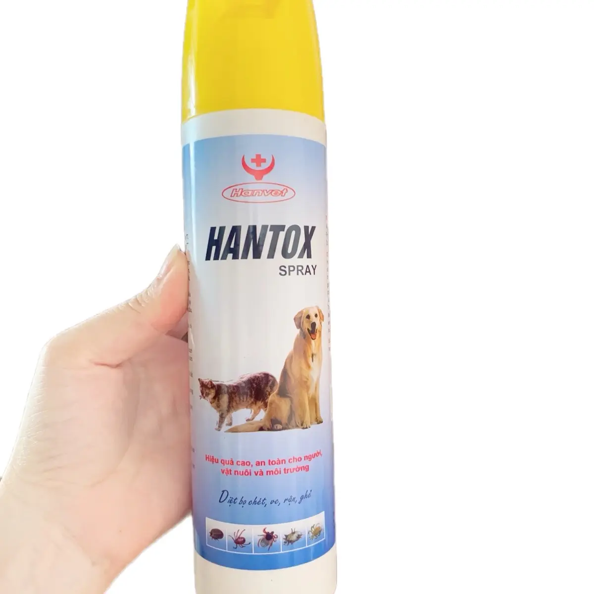 Chai xịt diệt bọ chét Hantox Spray 300ml