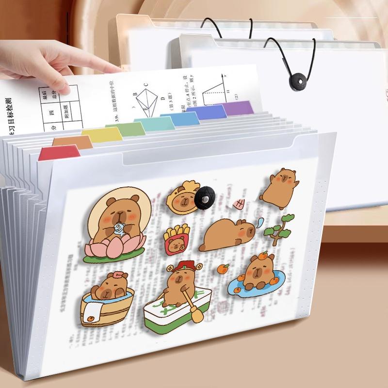 Túi đựng tài liệu a4 8 ngăn M.Y-văn phòng phẩm tệp đựng tài liệu nhiều ngăn cặp file túi đựng tài liệu hồ sơ