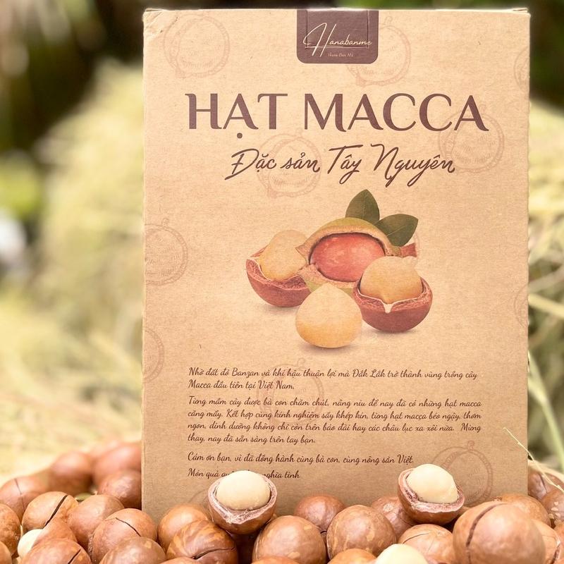 HẠT MACCA DAKLAK HANA BAN MÊ - SIZE TRUNG MỚI SẤY