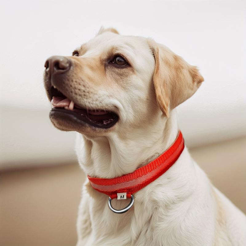 Product Introduction of LED luminous pet collar, suitable for small and medium-sized dogs - keep your pet safe and visible during nighttime walks, slightly waterproof 5