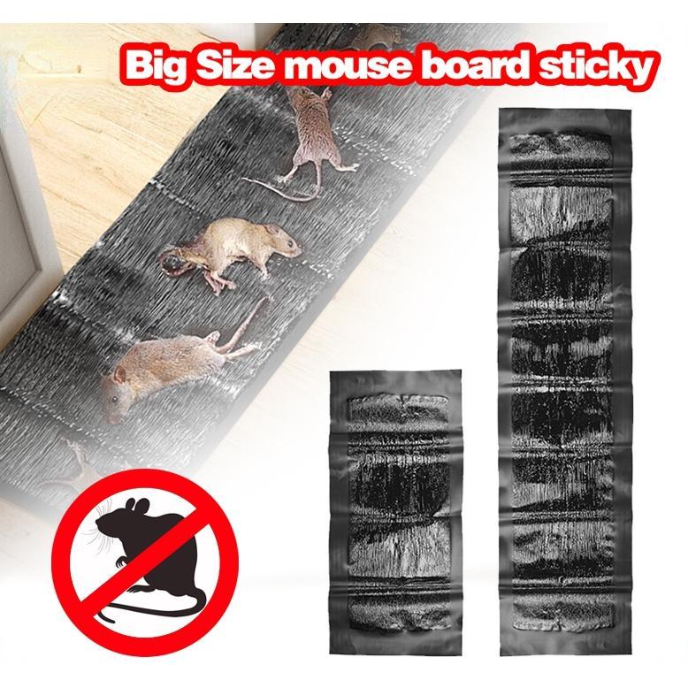 1.2M Big Size Sticky Mice Glue Trap Mouse Board High Effective - TikTok ...