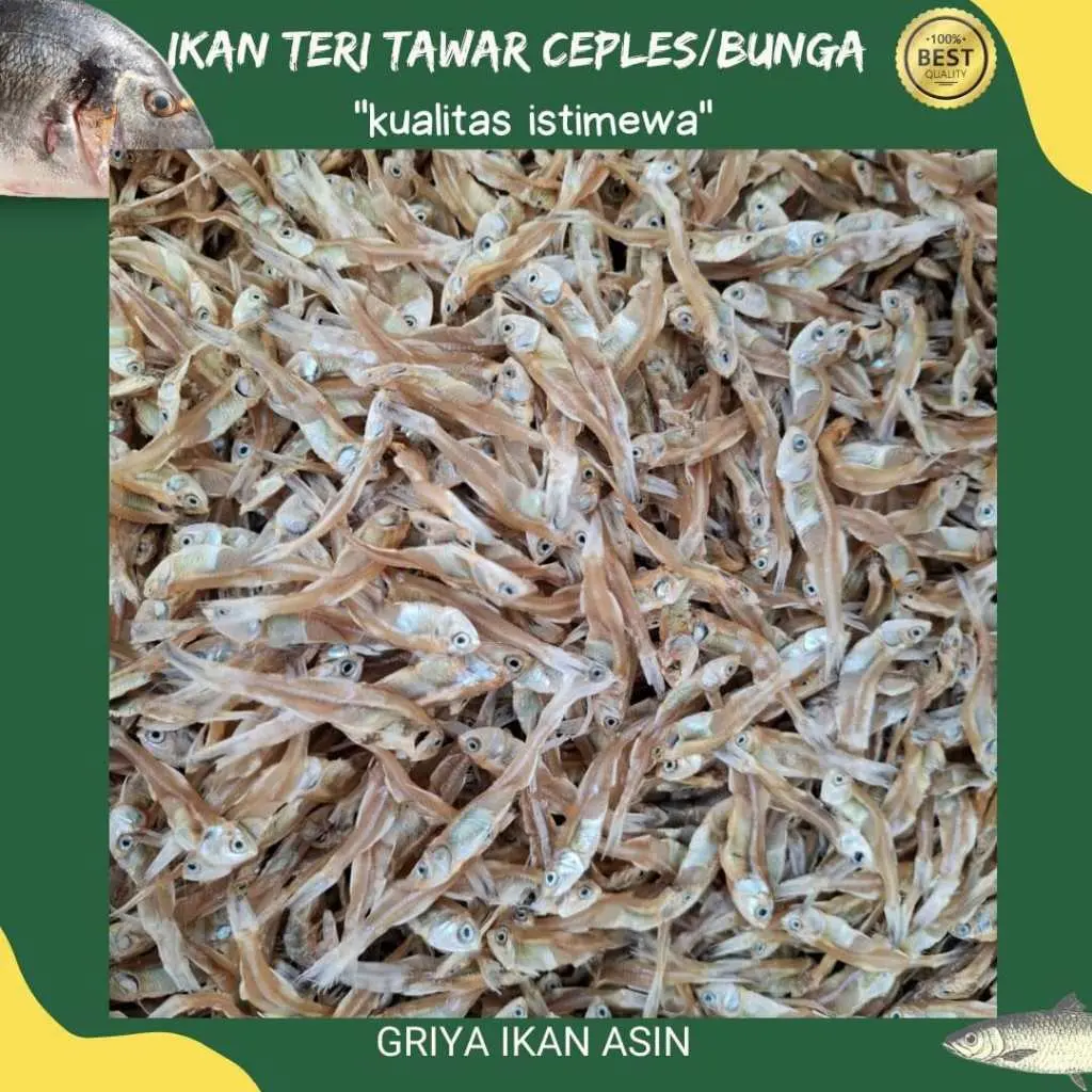 ikan teri tawar kering/teri ceples tawar/teri bunga tawar 1 kg termurah