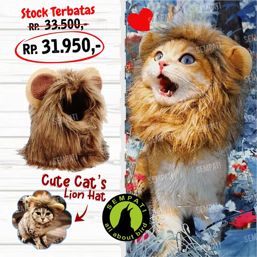 SEMPATI Topi Kucing Model Wig Rambut Singa Dengan Telinga Mainan Kostum Kucing Anjing Pet Cap Lion Hair Topi Kupluk Pakaian Baju Kucing Anjing Monyet Kitten Anabul