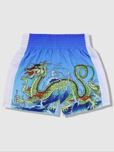 Men's Dragon Print Shorts, Regular Fit Casual Comfy Breathable Shorts, Men's Shorts for Summer