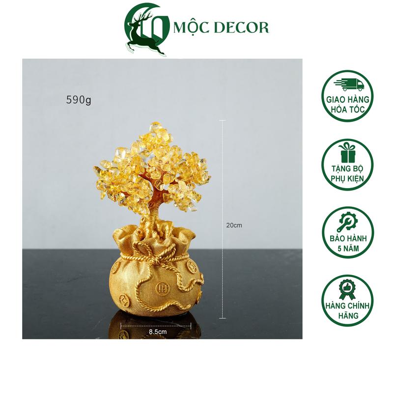  Decor Phong Thủy Cây Tài Lộc Màu Vàng Kim Cực Đẹp Trang Trí Không Gian Nội Thất Gia Đình Cửa Hàng Văn Phòng AC06 Decor Phòng Đồng cây tiền  thần tài 