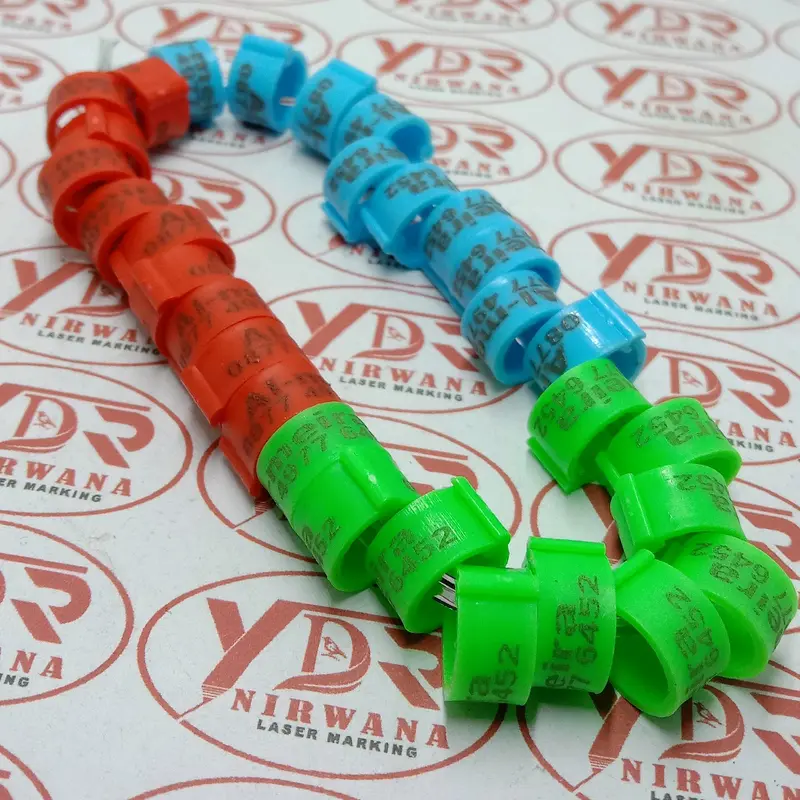 RING KLIP HANYA UNTUK MERPATI DAN PUTER 3
