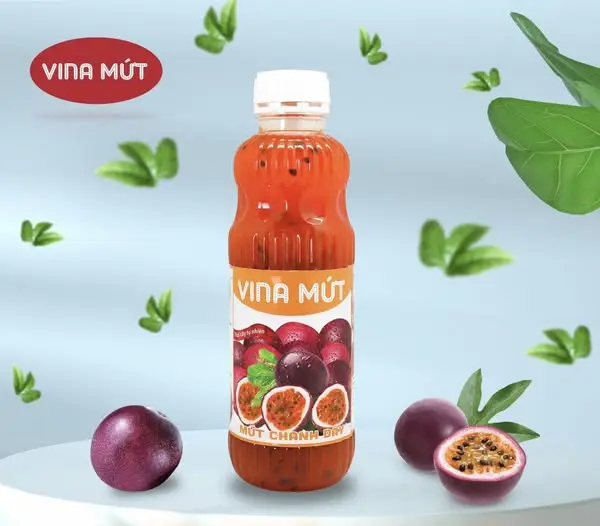 Sinh Tố VINA Mứt Nhiều Vị 1
