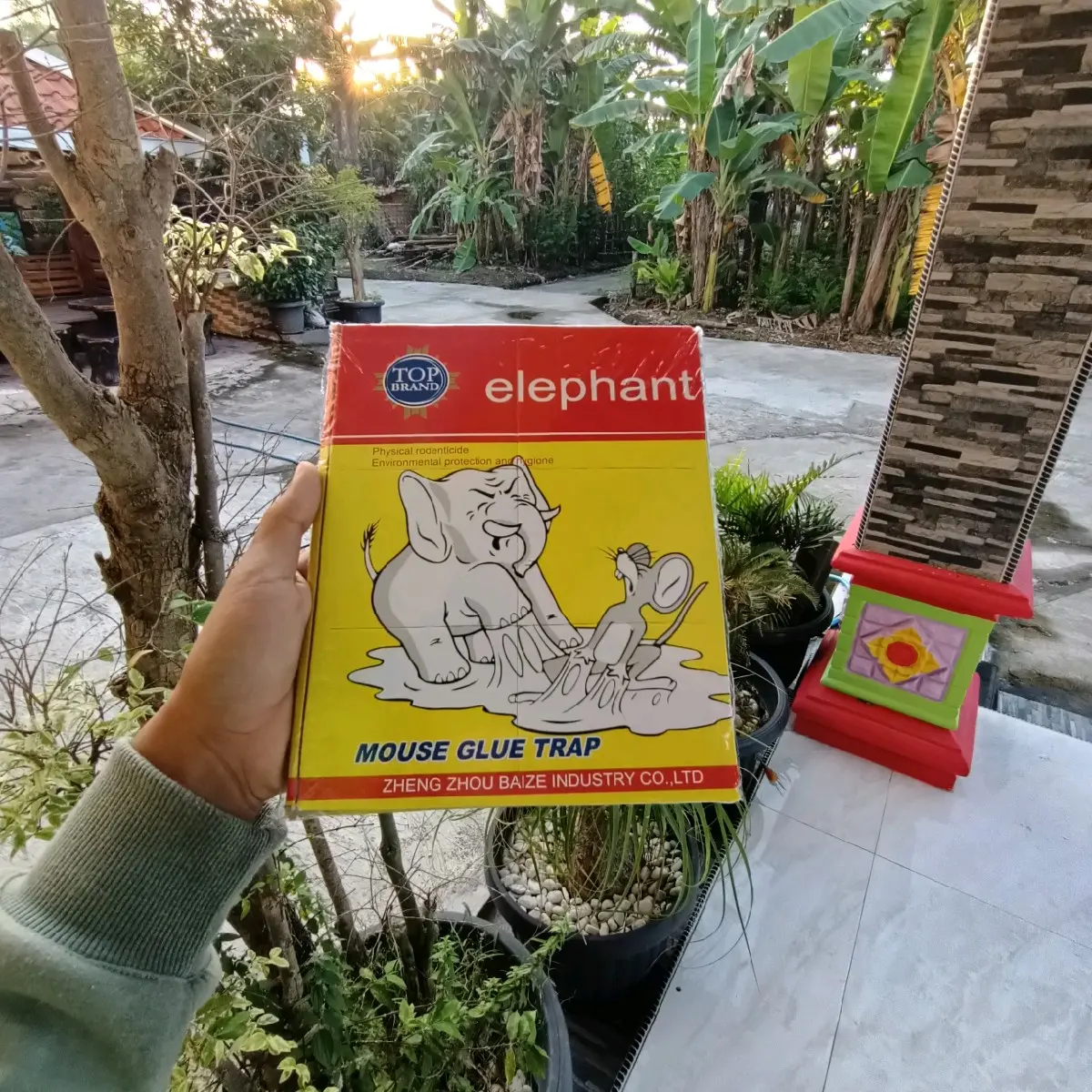 5pcs Paket Perangkat Tikus Lem Tikus