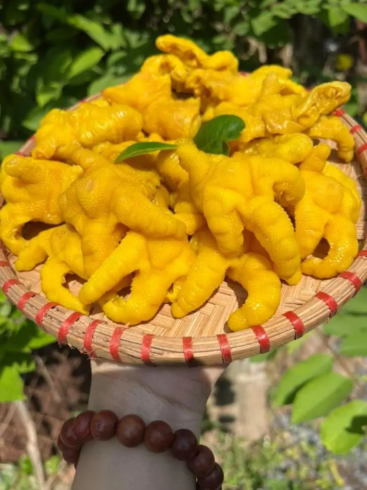 (CHỈ SHIP MIỀN NAM) Chân gà tươi rút xương ủ muối khay 500g, hút chân không (kèm nước chấm)