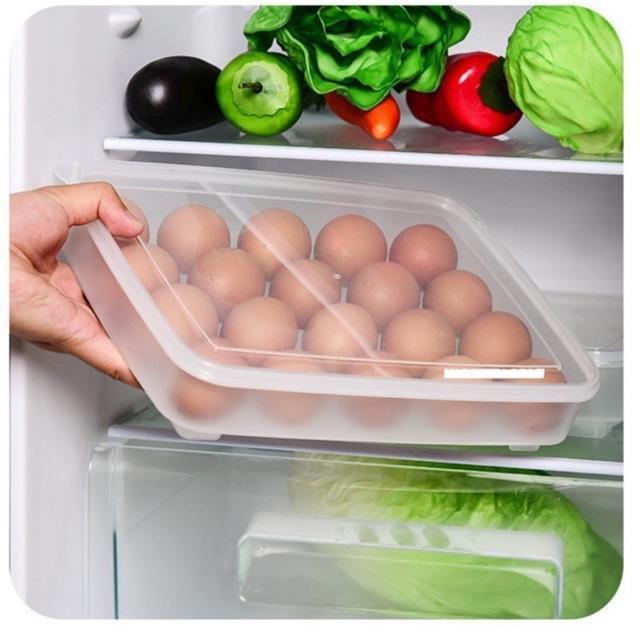 Product Introduction of Hộp đựng trứng 24 quả có nắp, Hộp đựng trứng tủ lạnh, hộp đựng trứng 2 tầng, hộp đựng trứng gà 4
