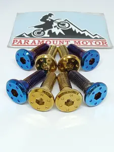 Baut disc cakram gepeng bintik stainless motor universal