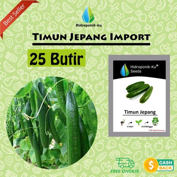 Bibit / Benih Timun Jepang Import (25 Butir) Hidroponik Ku 0
