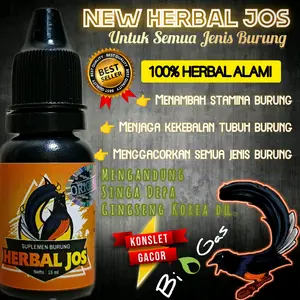 Herbal JOS SUPLEMEN Penggacor Burung